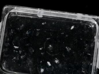 水晶烤鱼盘 耐高温环保的艺术收藏品